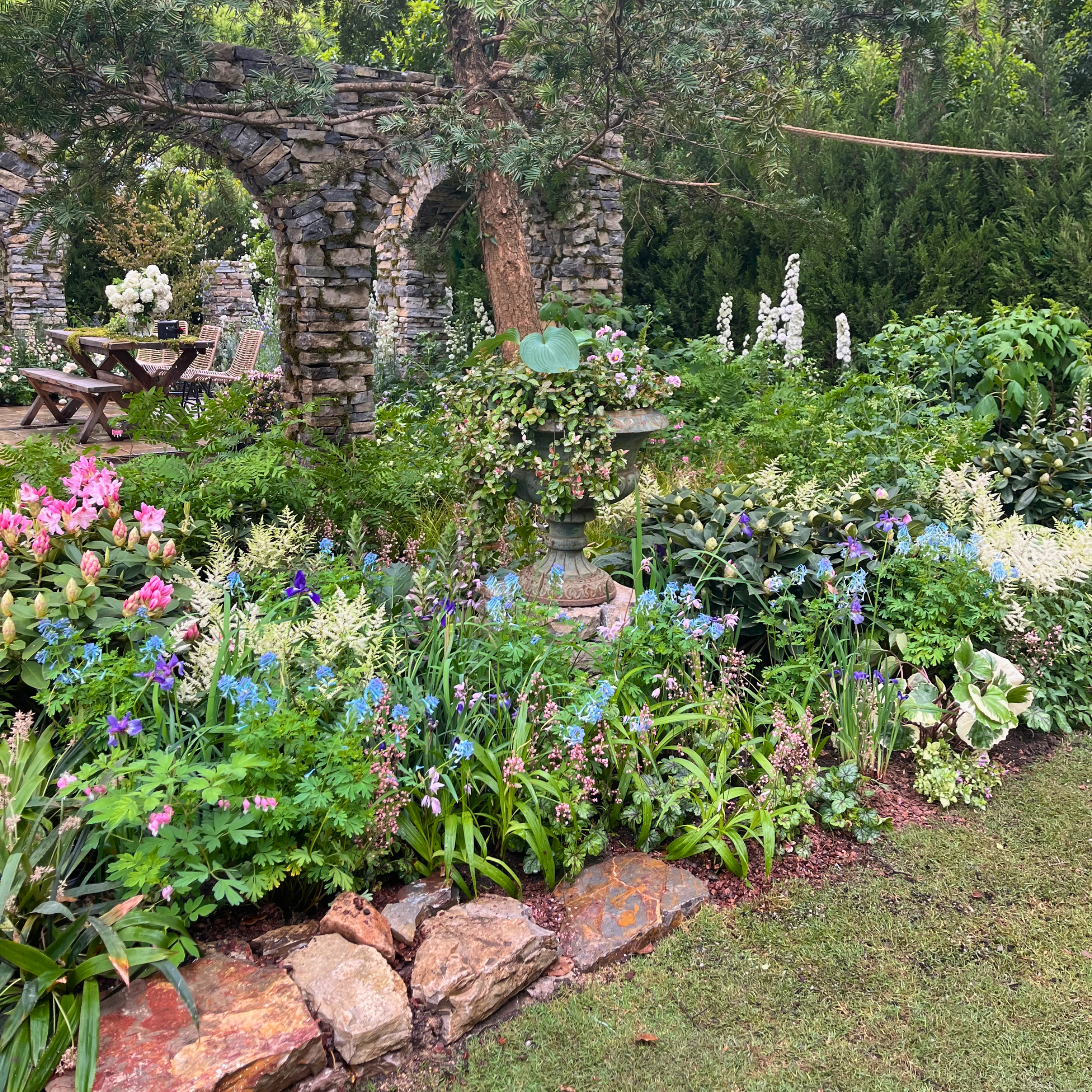 English Garden Plants for Bay Area Homes | Free Local Delivery Over $199   Victory Nursery