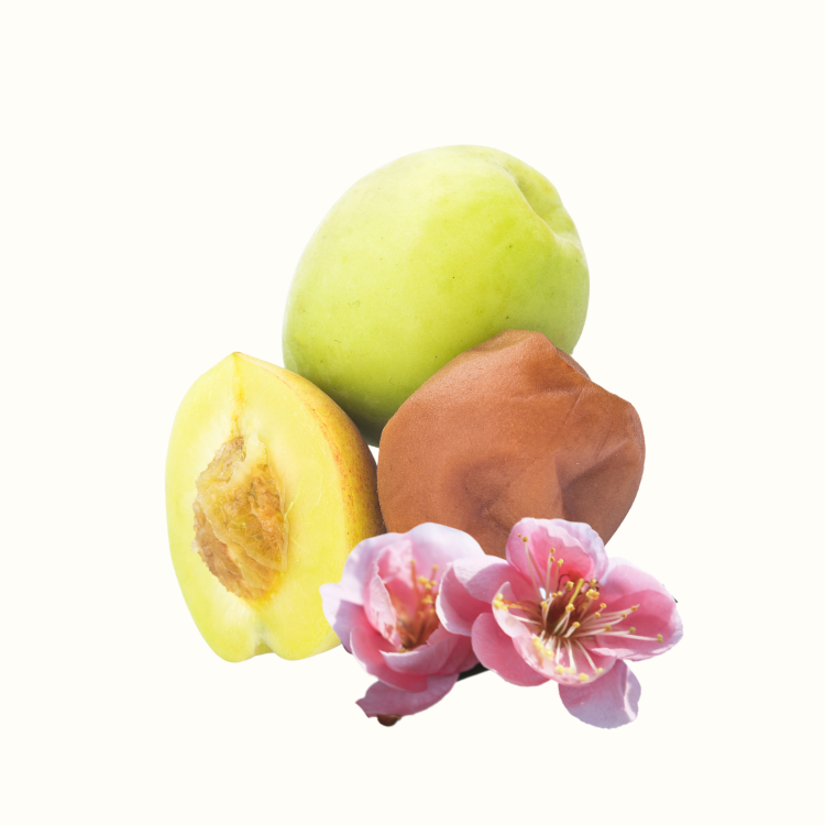 Close-up of ripe ume fruit