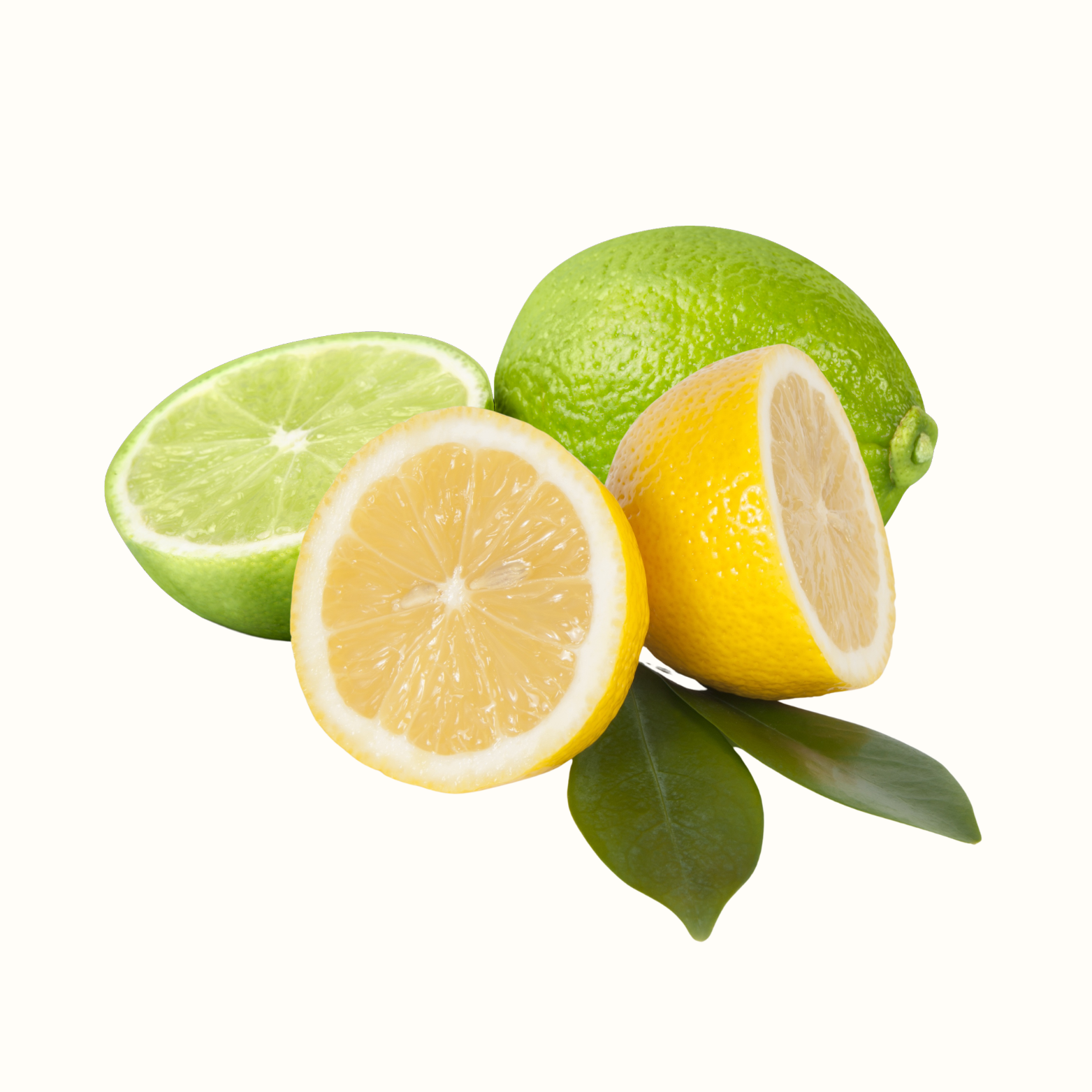 Lemon tree with ripe yellow fruit