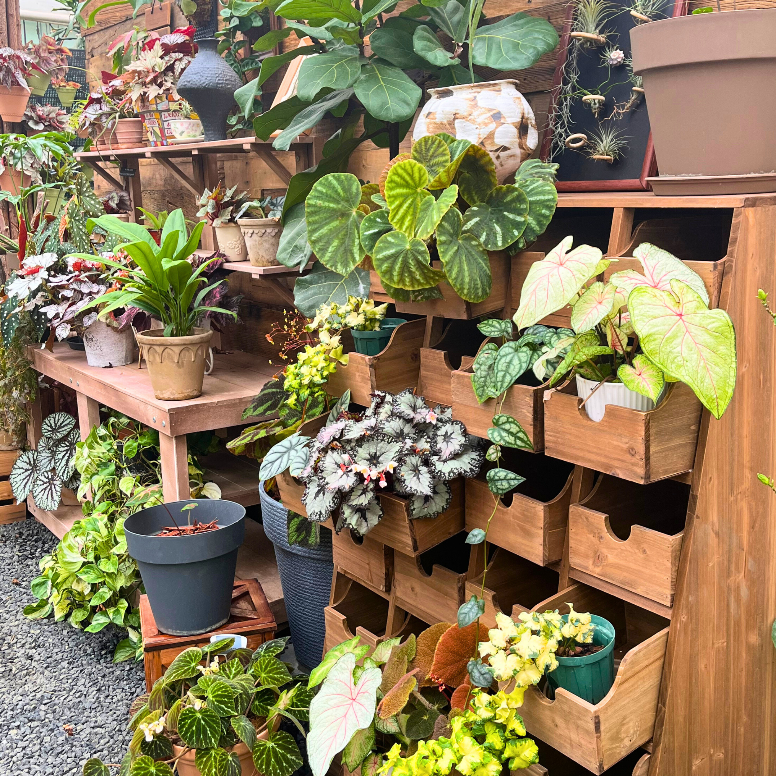 tabletop plants on desk workspace