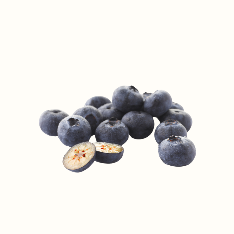 Blueberry plant with ripe fruit