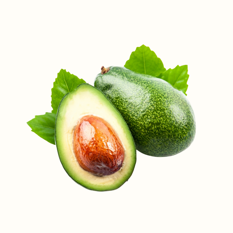 Close-up of ripe avocado fruit with textured dark green skin