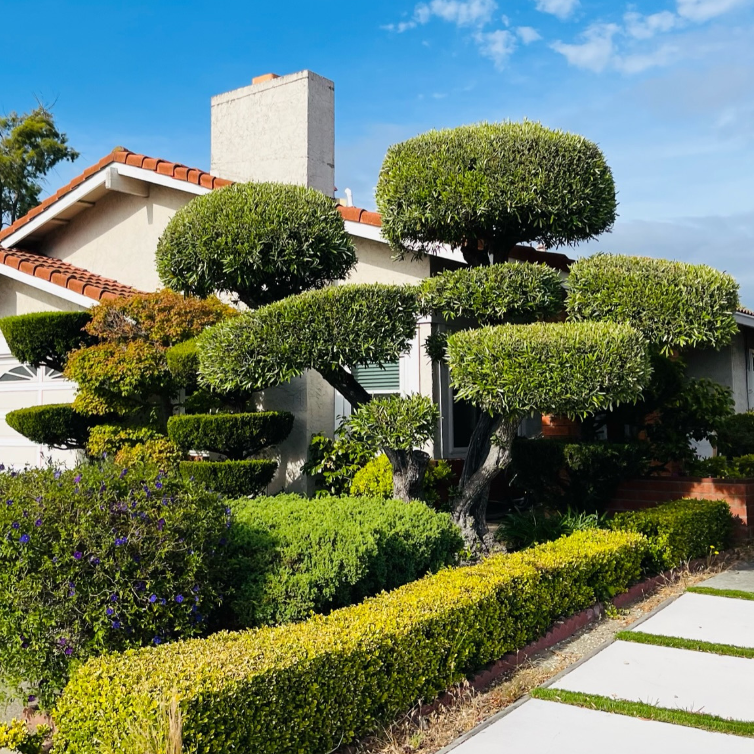 Architectural contrast in modern gardens