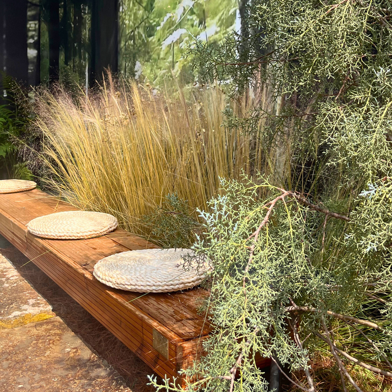 A mix of ornamental grasses creating soft texture and movement in a sunny Bay Area garden border.