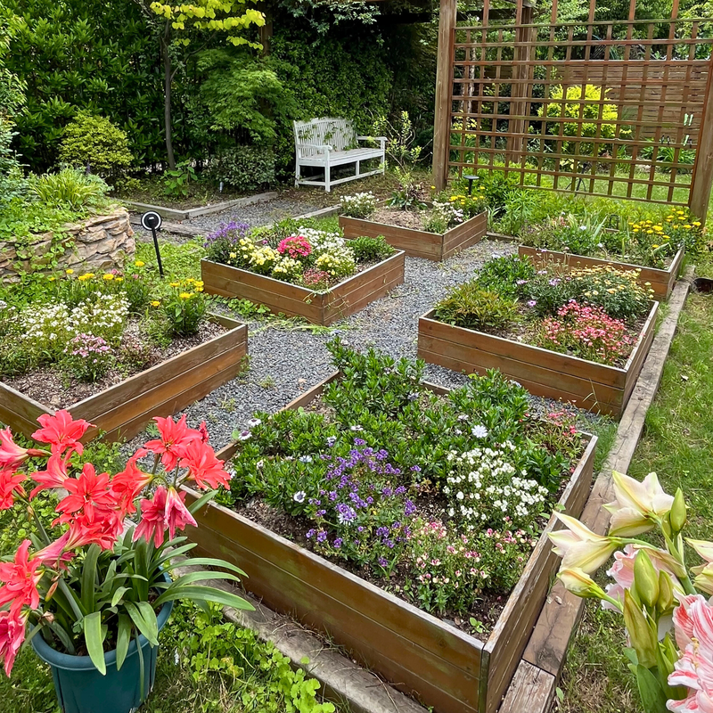 marble chips for potted plants White Marble Chips for Landscaping and Garden Beds – Victory Nursery