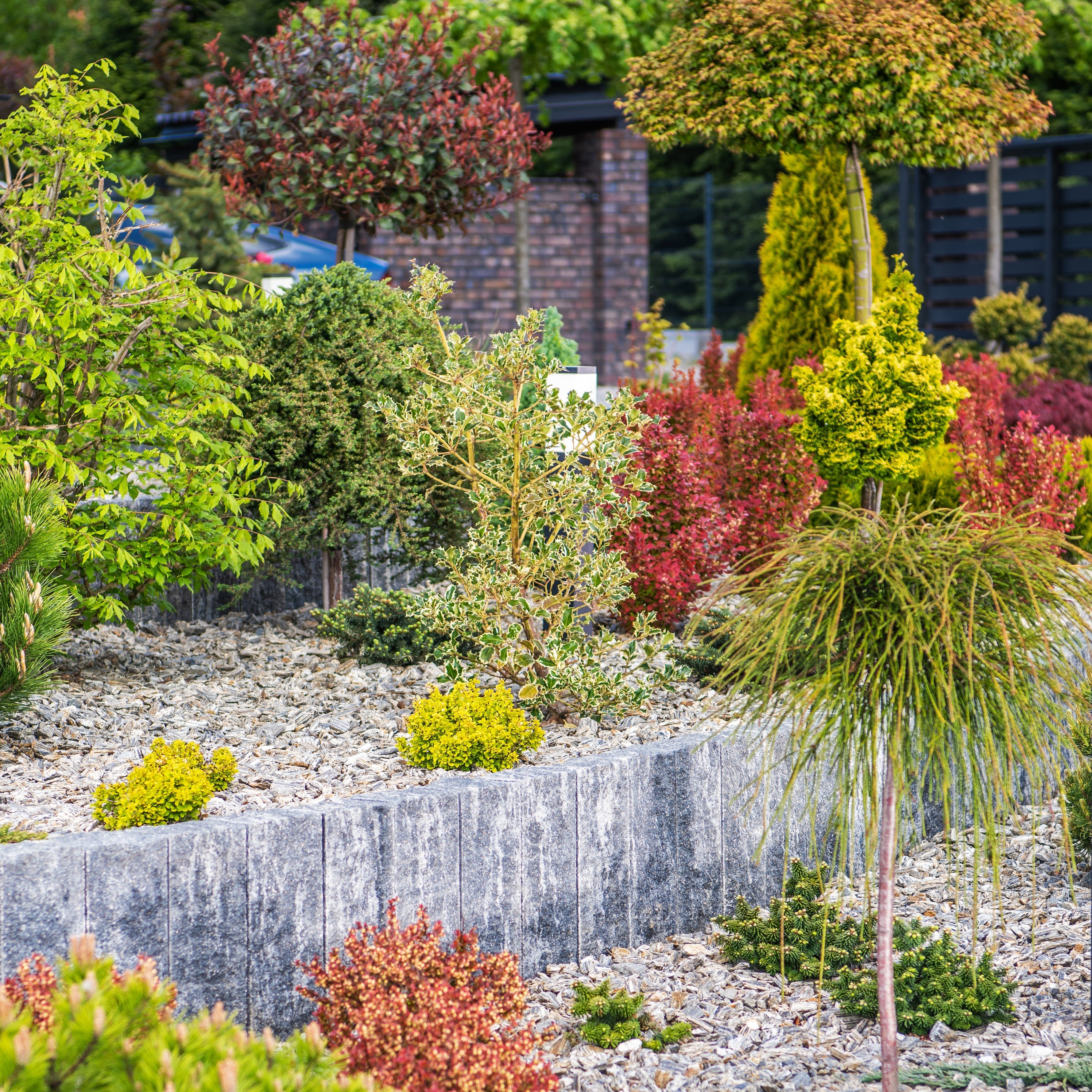 Low-maintenance Bay Area garden with drought-tolerant shrubs, ornamental grasses, and evergreen structure planting