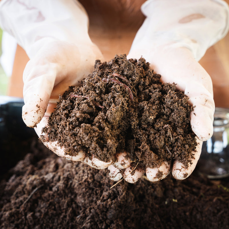 Soil & Planting Mixes collection featuring potting soil, raised bed mix, and tree planting blends for Bay Area gardens