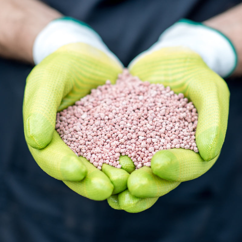 Fertilizers and soil amendments for Bay Area gardens—plant food, compost, and soil conditioners for healthy growth