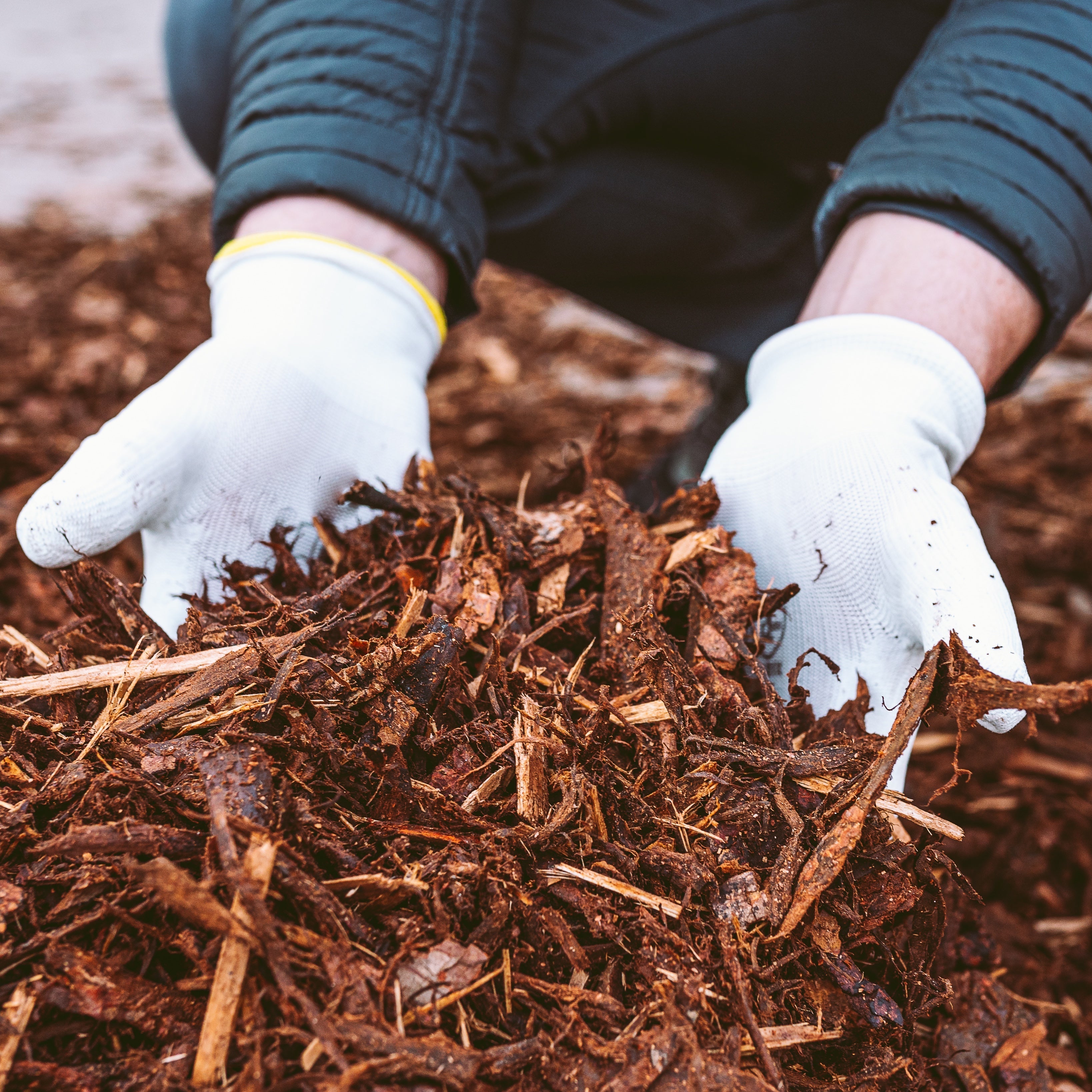 Mulch and garden covers for weed control, moisture retention, and soil protection in Bay Area gardens