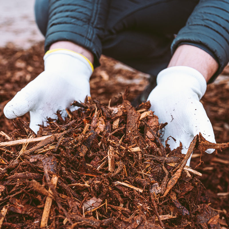 Mulch and garden covers for weed control, moisture retention, and soil protection in Bay Area gardens