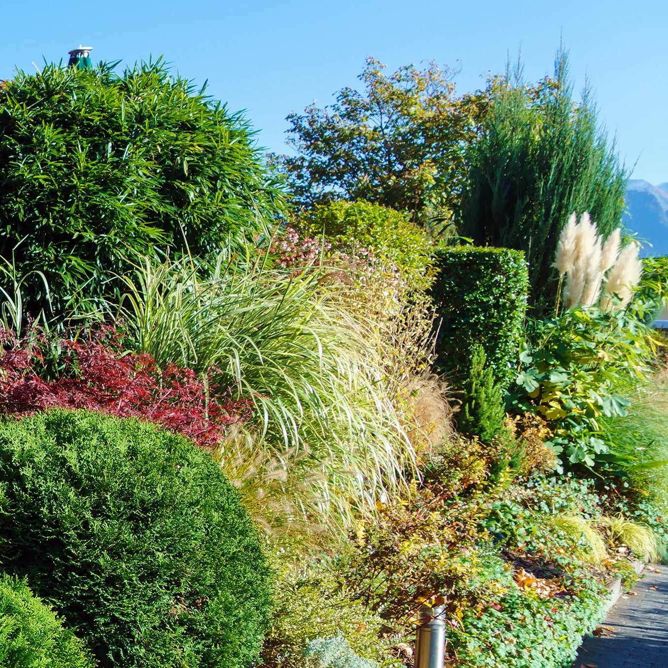 a curated overflow collection that brings together additional shrub categories