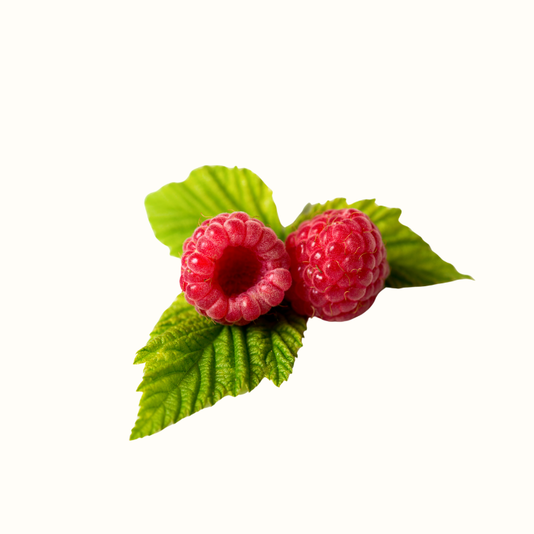 fresh raspberries close up