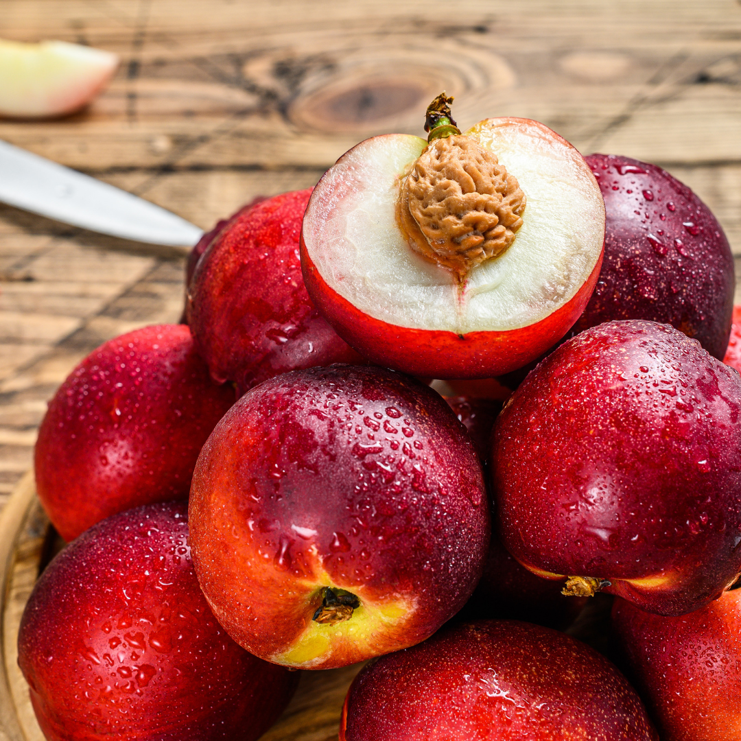 Arctic Rose Nectarine