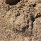 Close-up of Coarse Sand