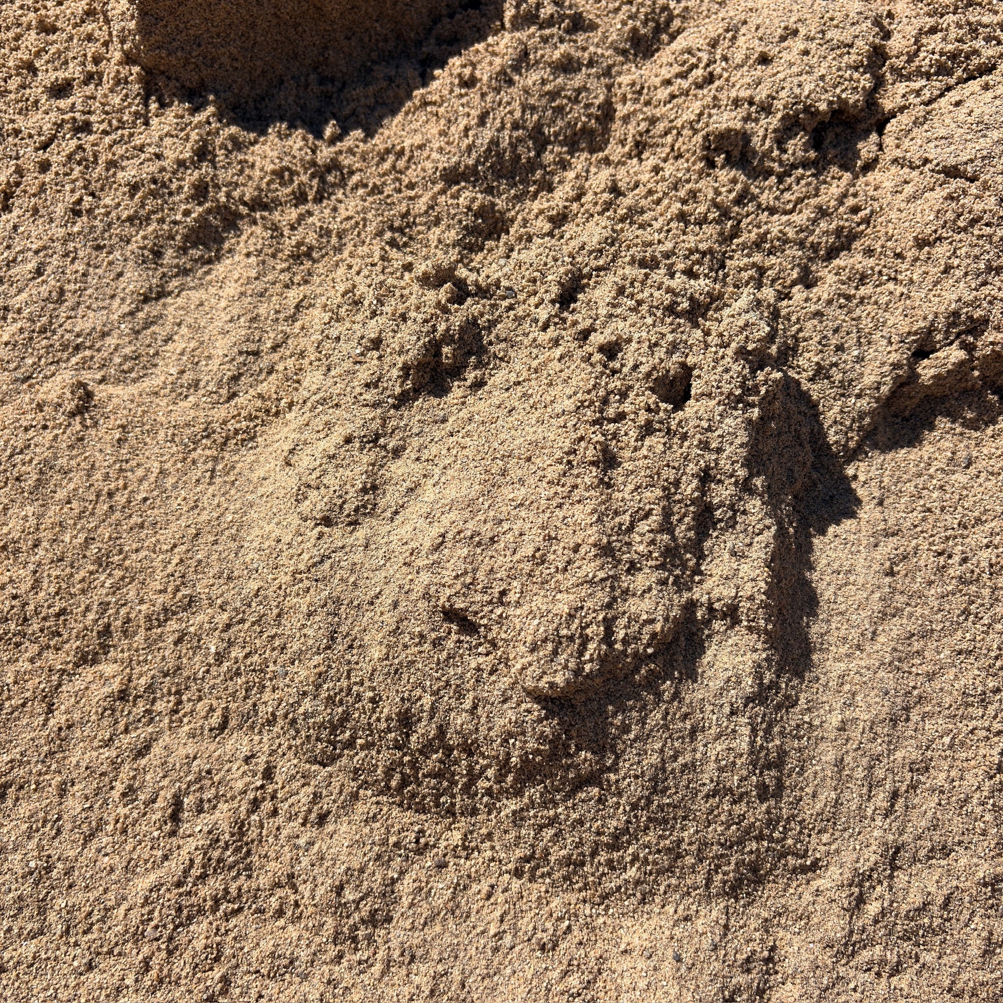 Close-up of Coarse Sand