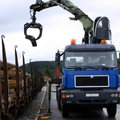 Crane Rental Services Blue truck with crane lifting wooden logs on a road