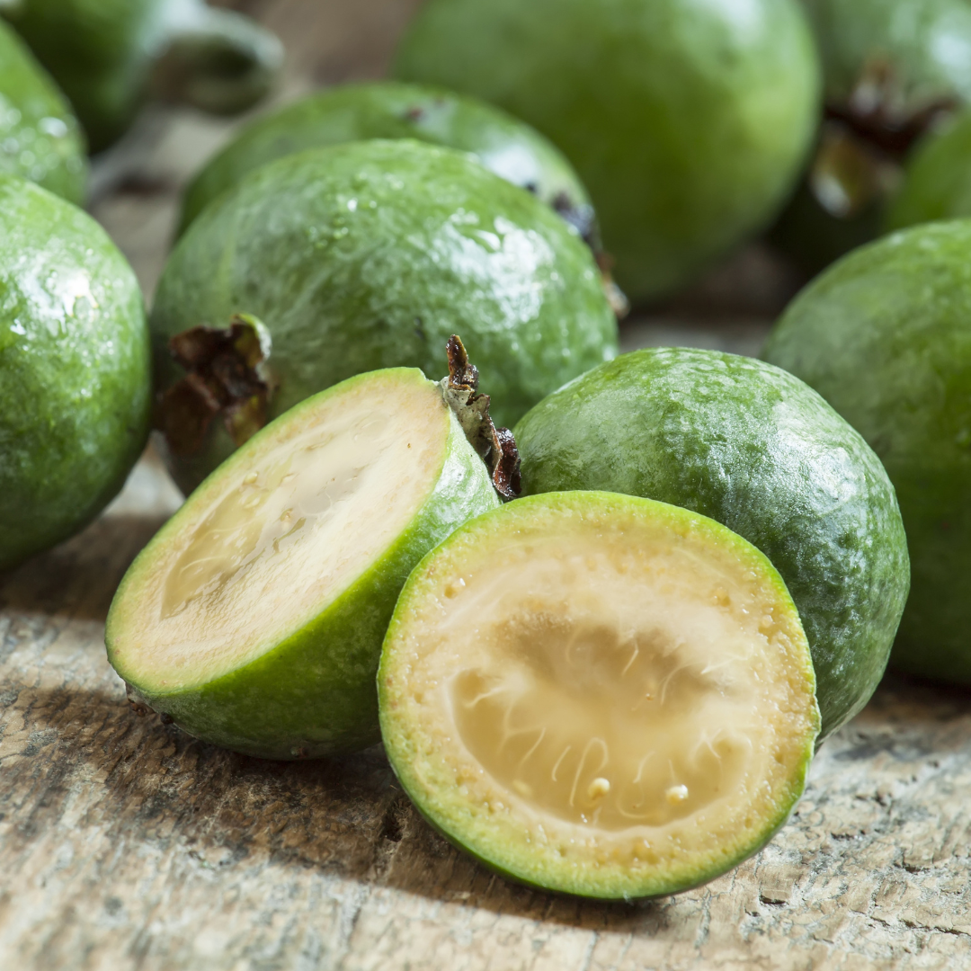 Feijoa Pineapple Guava