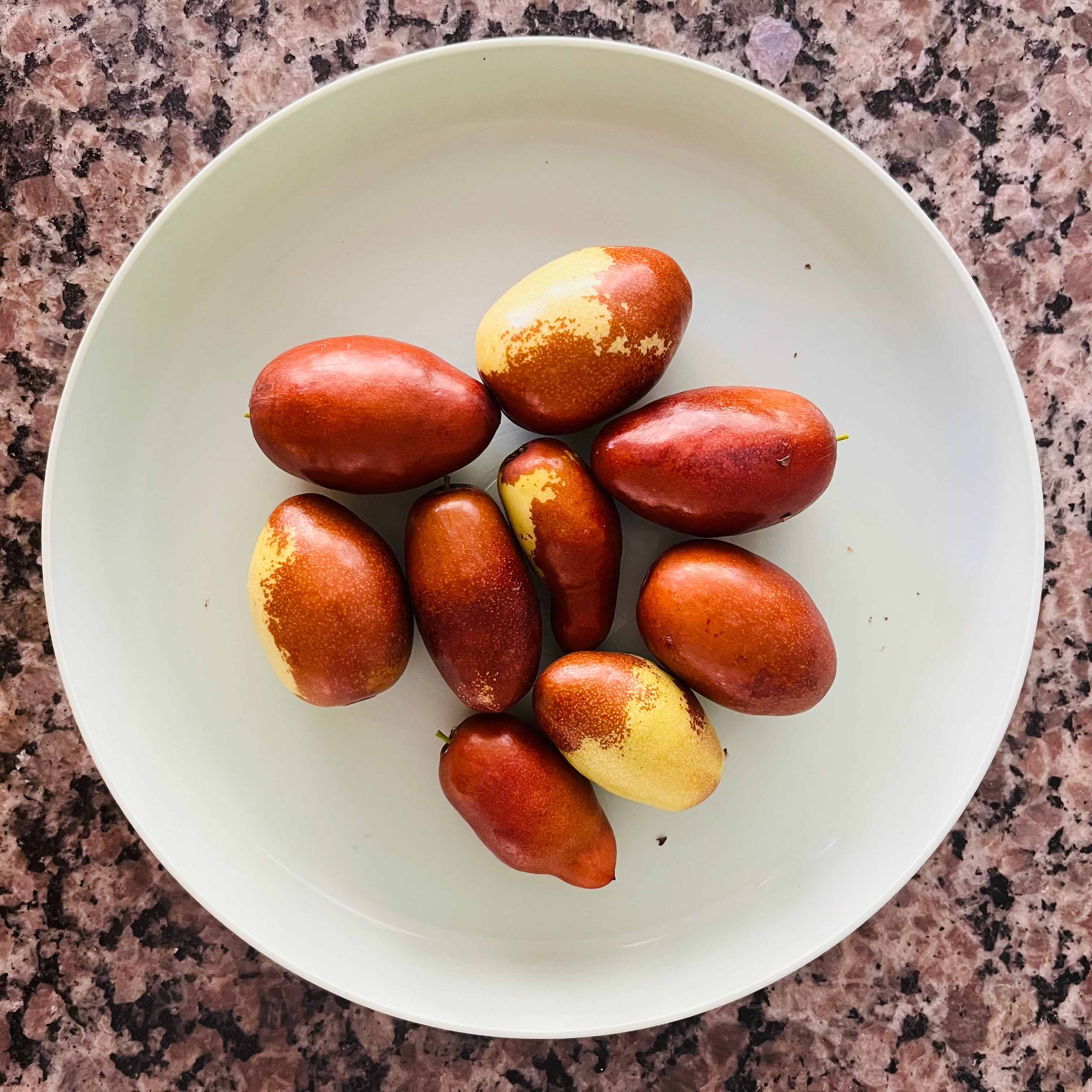果物 bebe GA866 Jujube Tree | Sweet Crisp Chinese Date Fruit – Victory Nursery