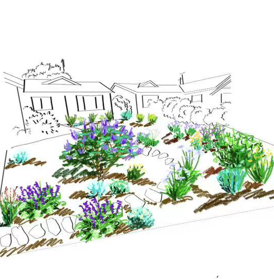 Garden Design Service Schematic drawing of a garden layout with plants and a house in the background.