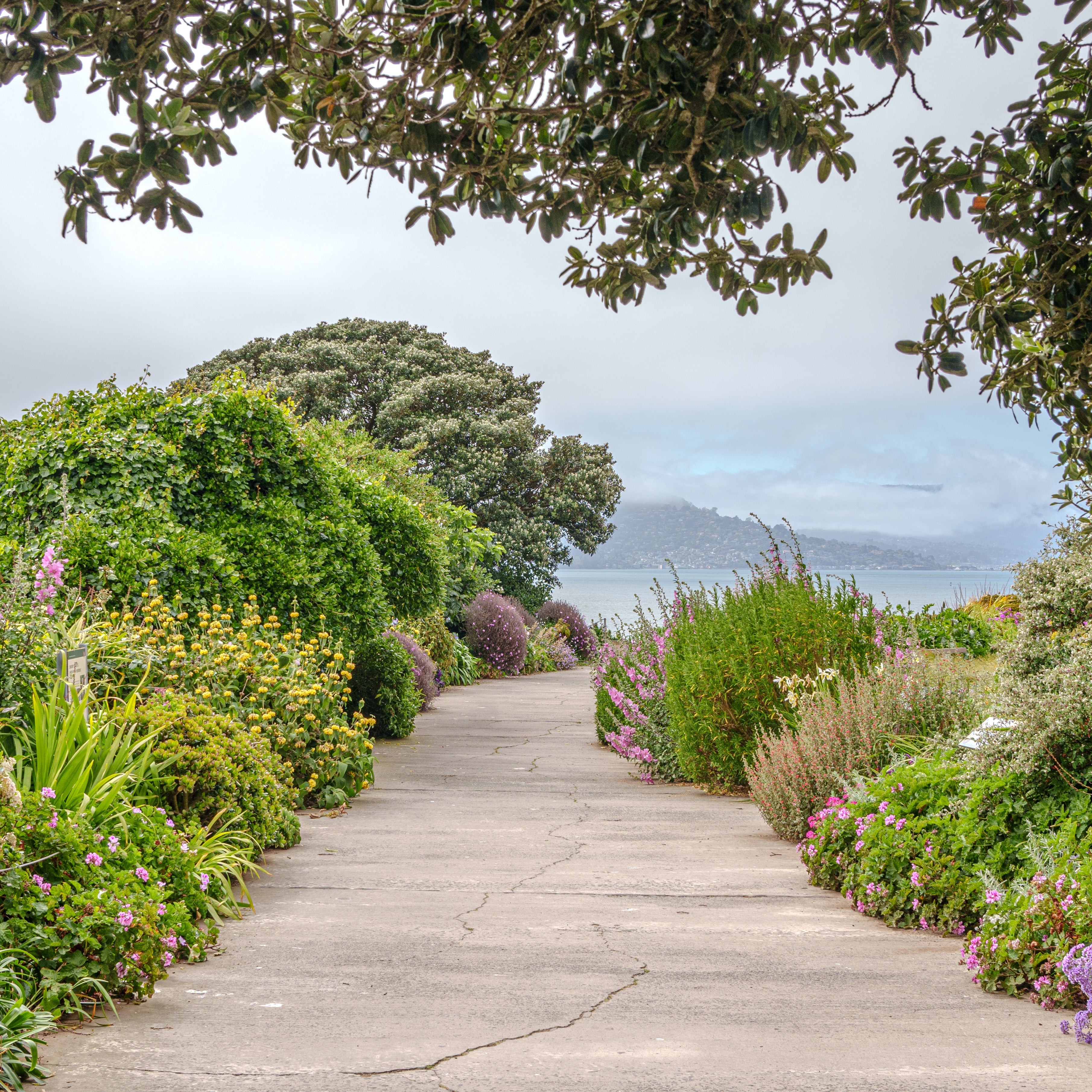 Wooden pathway through a garden with flowers and trees, leading to a body of water. garden design ideas 