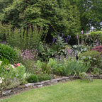 Garden with various plants and flowers, including a stone wall and green grass. garden design ideas