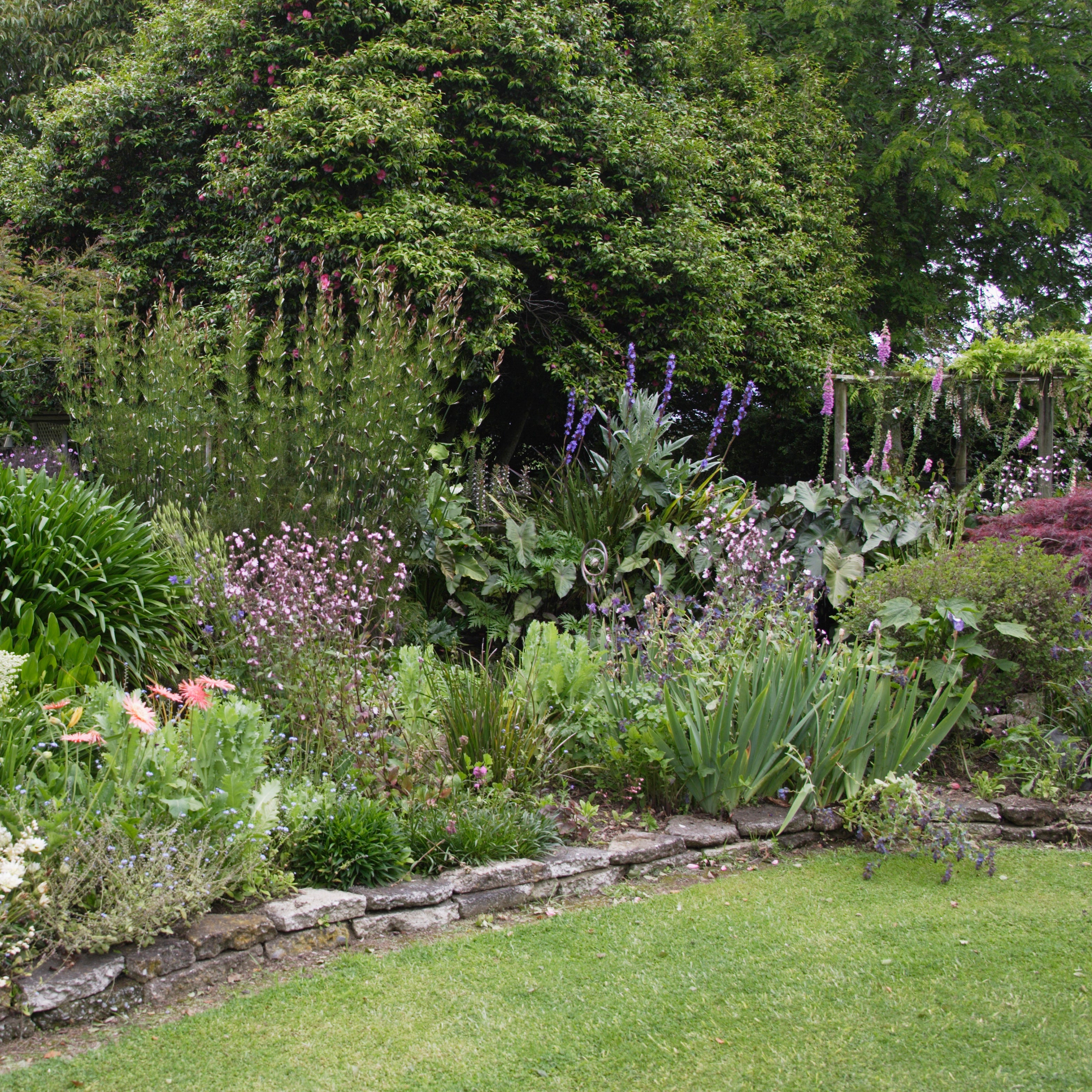 Garden with various plants and flowers, including a stone wall and green grass. garden design ideas