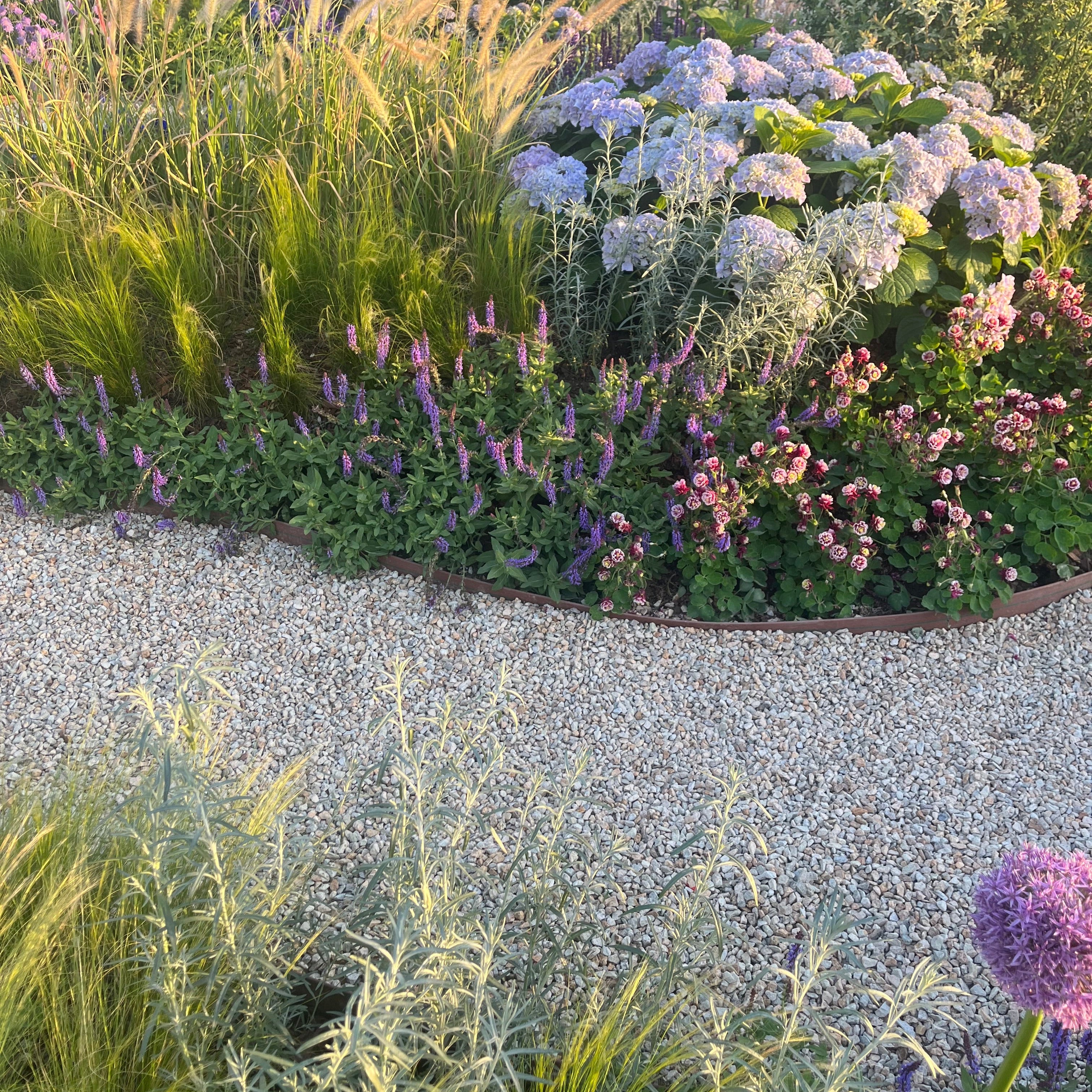 Garden with a variety of flowers and plants, including lavender and hydrangeas, on a gravel path.