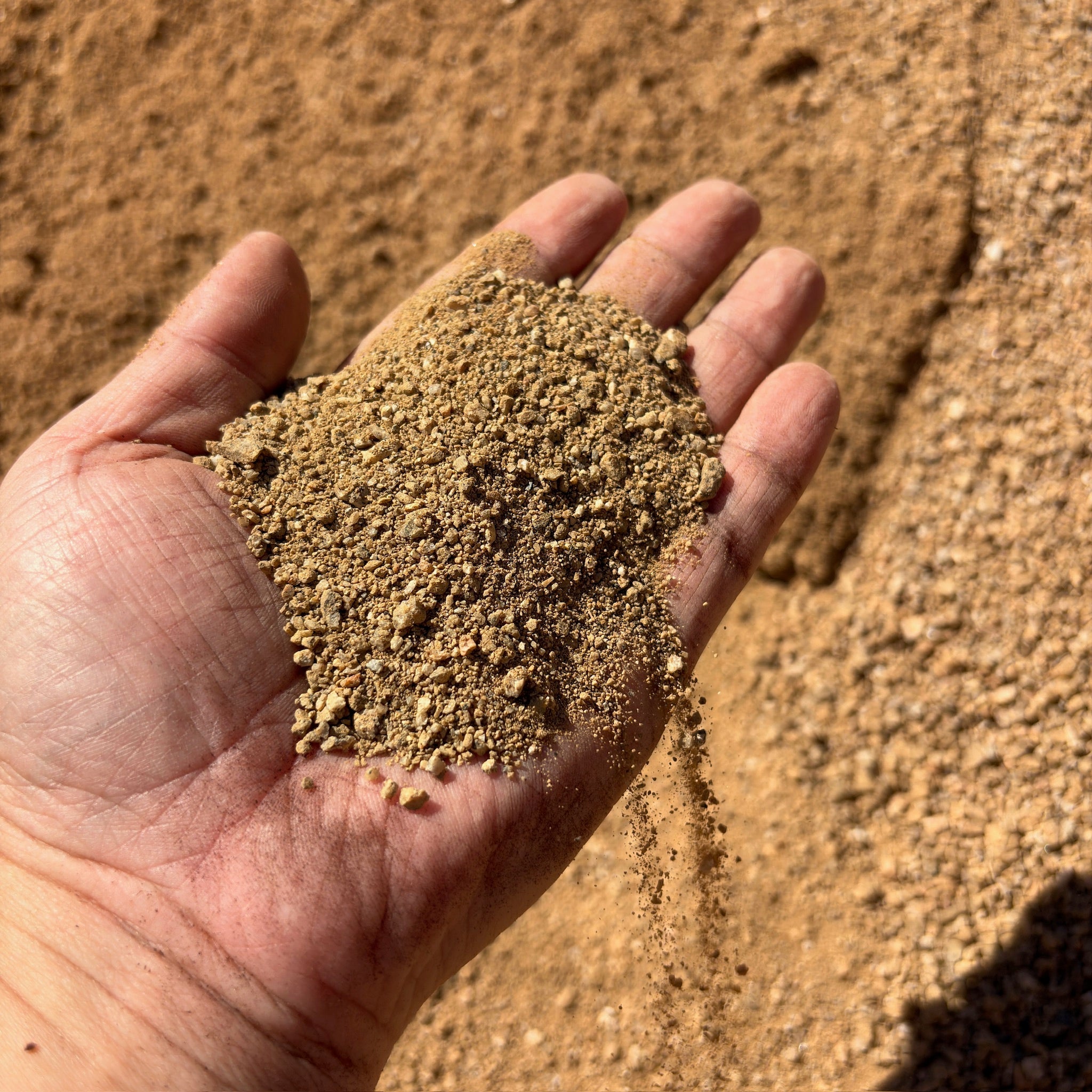 Hand holding a small amount of sand against a sandy background