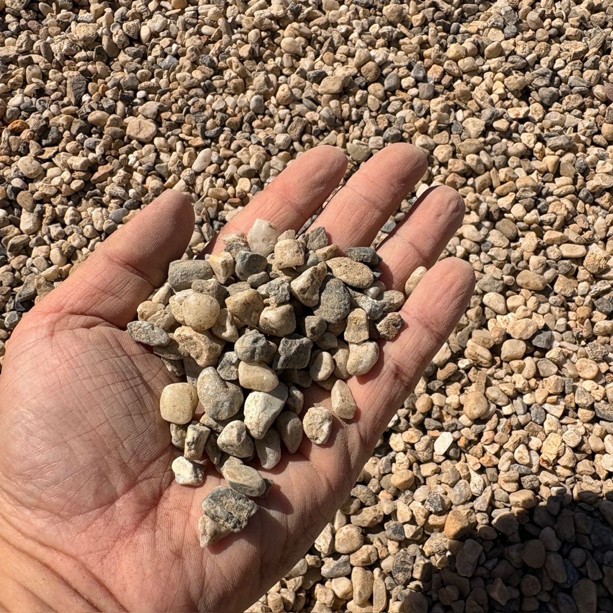 Hand holding small stones with a background of more stones