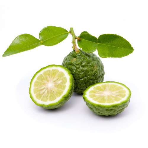 Kaffir  Lime