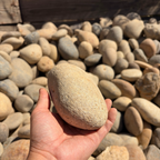 Hand holding a Large River Rock with a background of pebbles