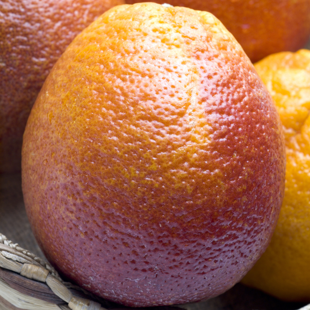Moro Blood Orange