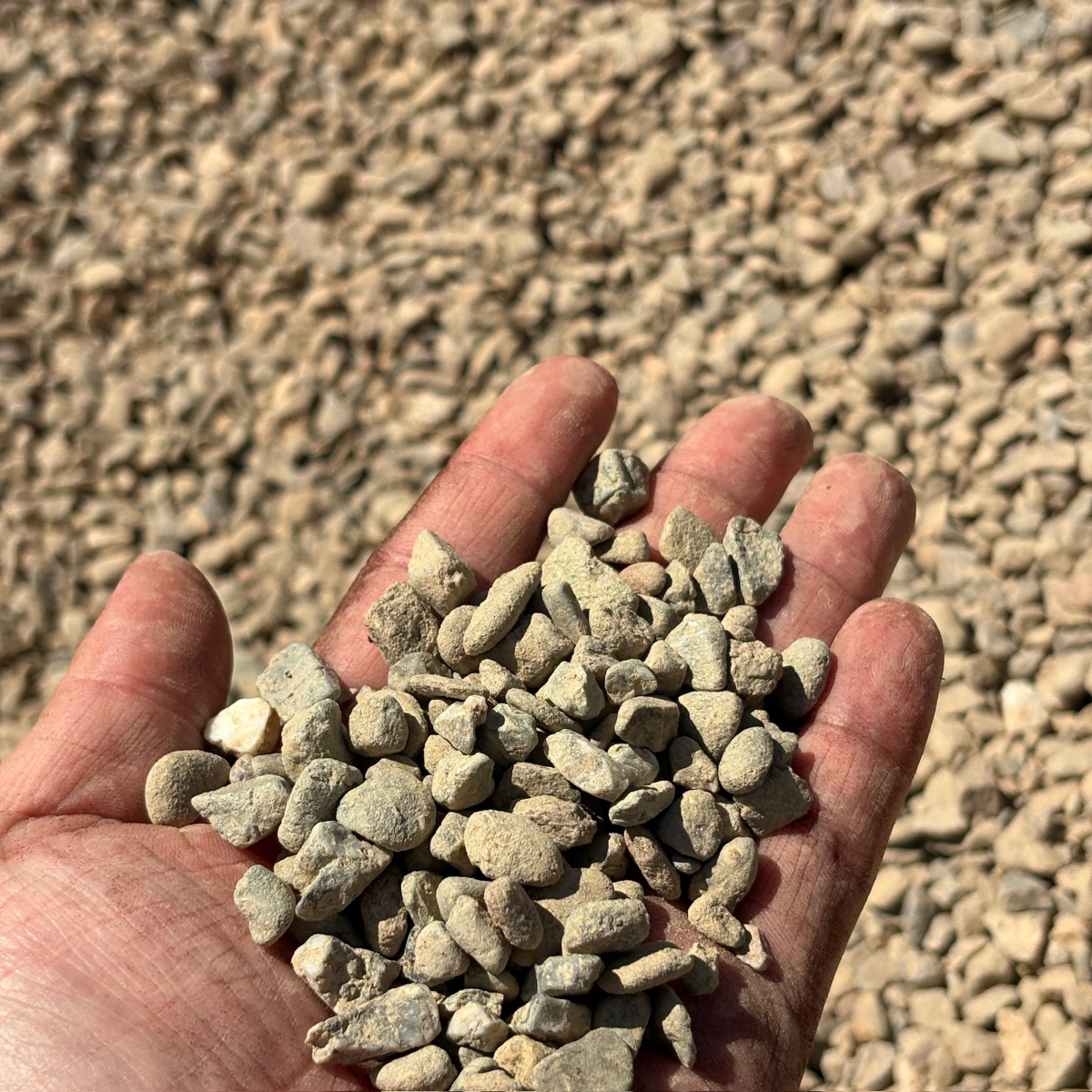 Hand holding small stones with a textured gravel background