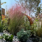 Garden scene with decorative metal arch and Pink Muhly Grassunder a clear blue sky.