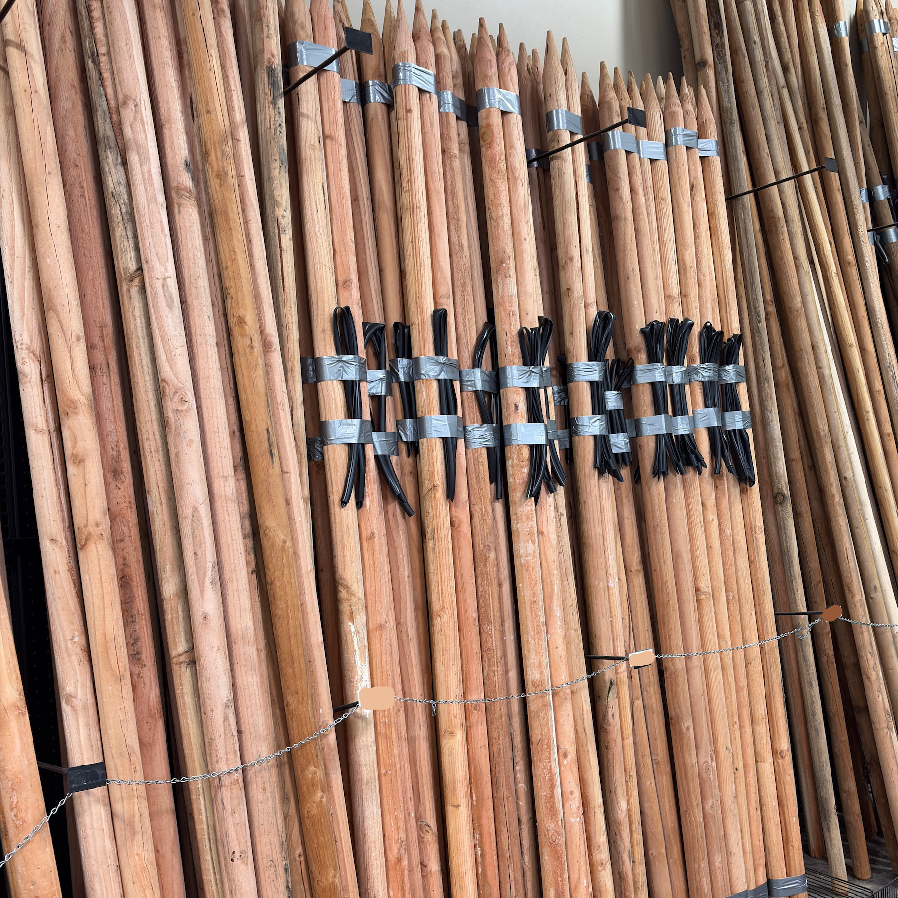 Bamboo sticks with black bands and labels on a metal rack.