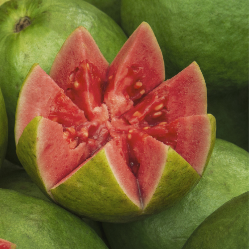 Tropic Pink Guava