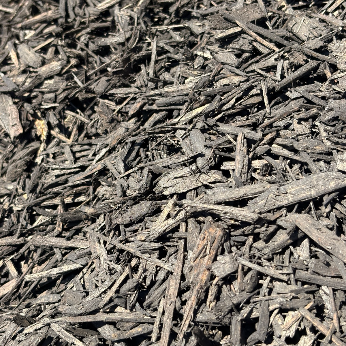 Close-up of dark brown mulch or compost material