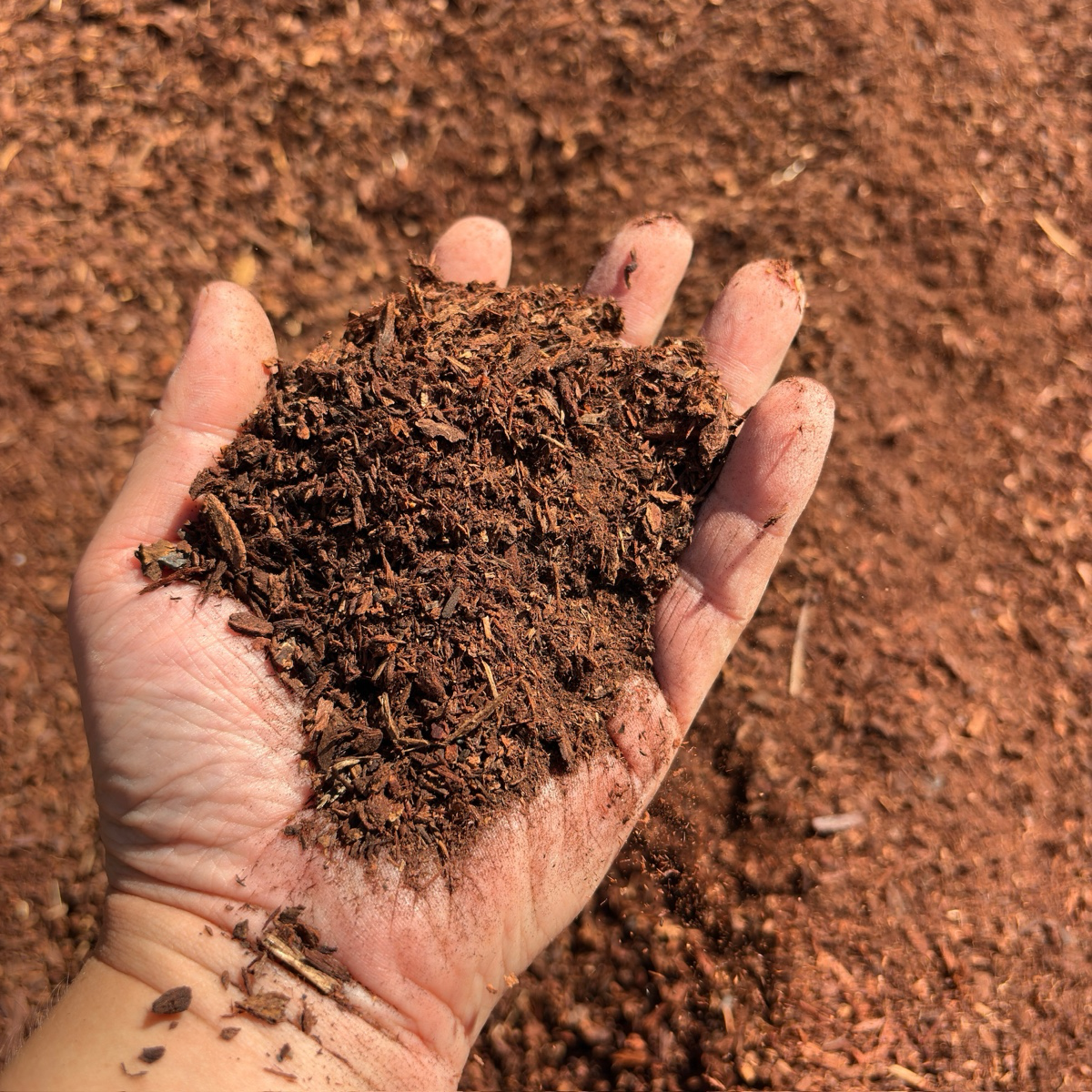 Hand holding a handful of brown compost against a similar brown background