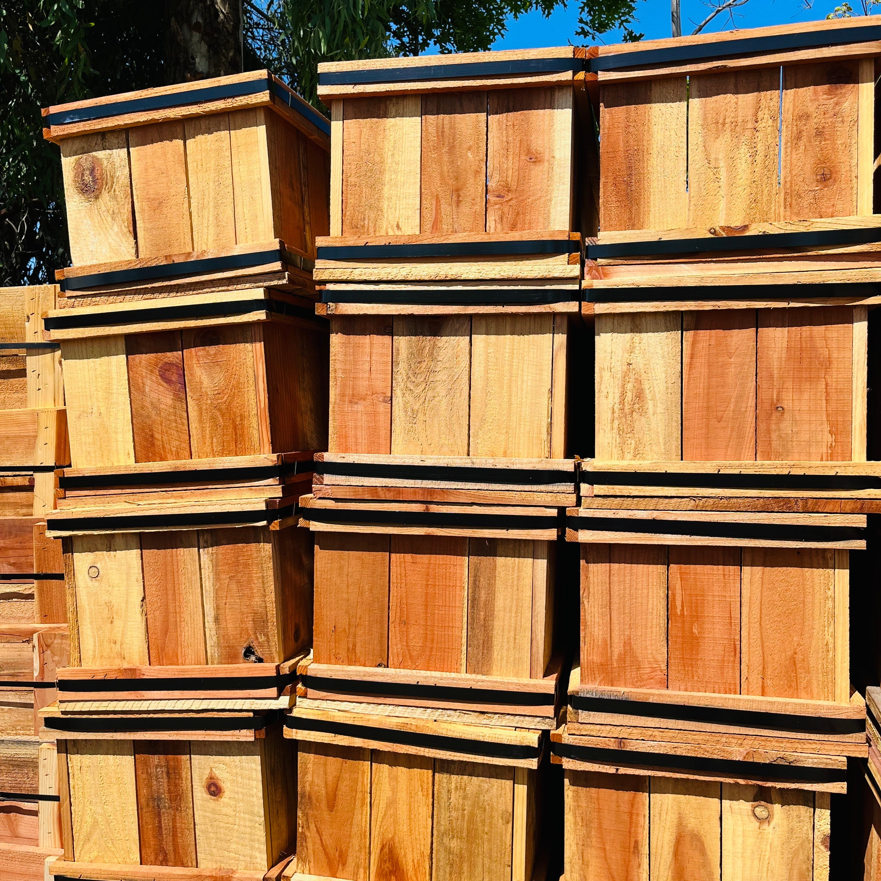 redwood box planters Wooden Rectangular Redwood Planter Box for Outdoor Gardens – Victory Nursery